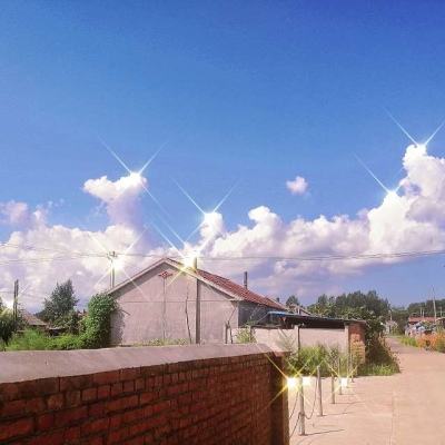果实能力新用法手游下载